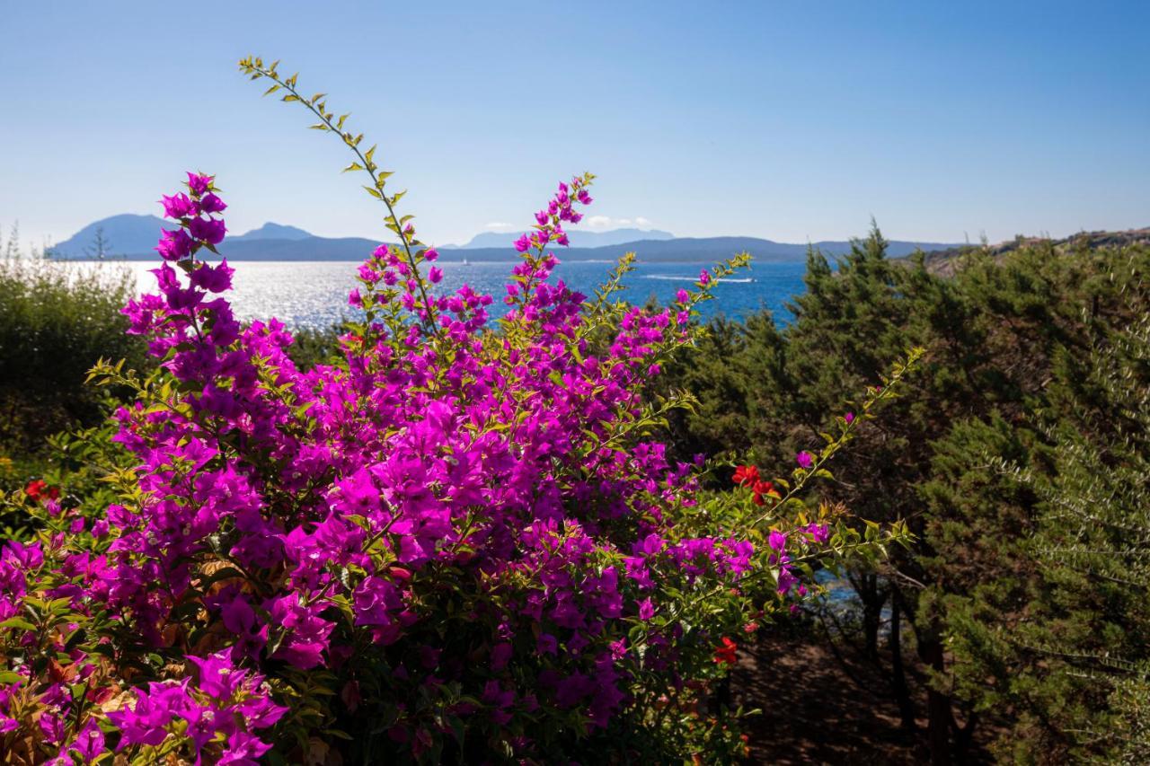 Splendido Appartamento Vista Mare Porto Rotondo Exteriör bild